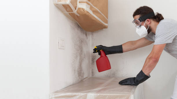Professional Bathroom Mold Removal technician working in Knightdale, NC