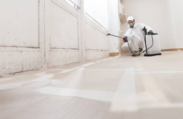 24/7 Emergency Bathroom Mold Removal experts in Knightdale, NC