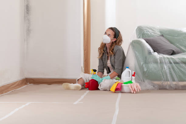 Reliable Bathroom Mold Removal contractor in Knightdale, NC by Mold Remediation HQ