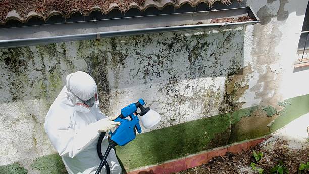 Top rated local Bathroom Mold Removal specialists in Knightdale, NC